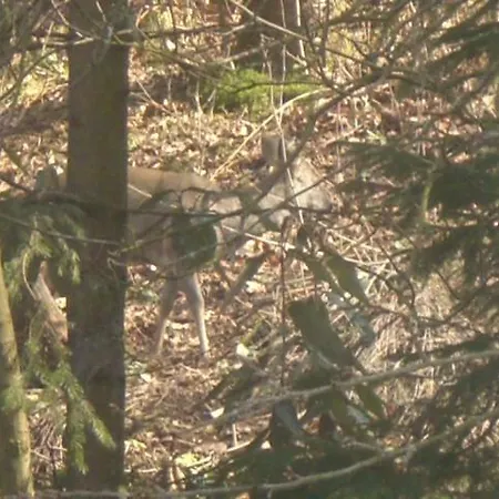 Ferien Penthouse Panoramablick Oder Panoramablick Apartamento