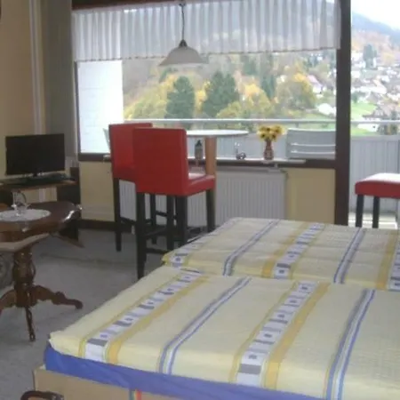 Lägenhet Ferien Penthouse Panoramablick Oder Panoramablick Bad Grund