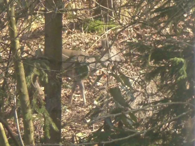 Ferien Penthouse Panoramablick Oder Panoramablick Apartman