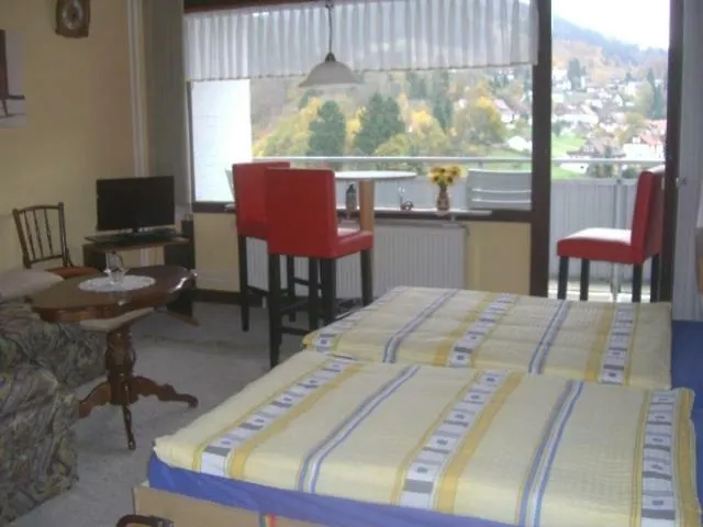 Apartman Ferien Penthouse Panoramablick Oder Panoramablick Bad Grund