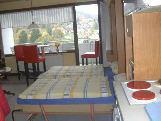 Ferien Penthouse Panoramablick Oder Panoramablick Lägenhet Bad Grund