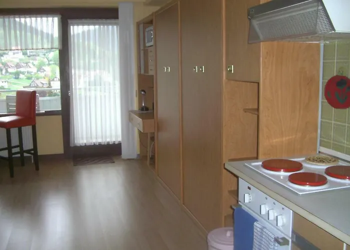 Apartman Ferien Penthouse Panoramablick Oder Panoramablick Bad Grund